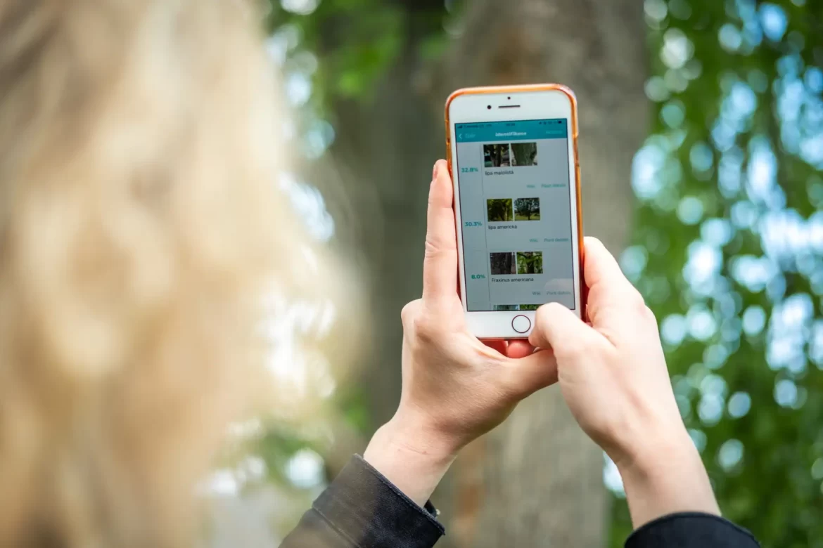 Využijte aplikace k rozpoznávání stromů a jejich ochlazovací funkce